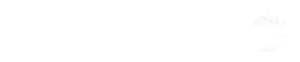 【白ロゴ】LASELENEグループ